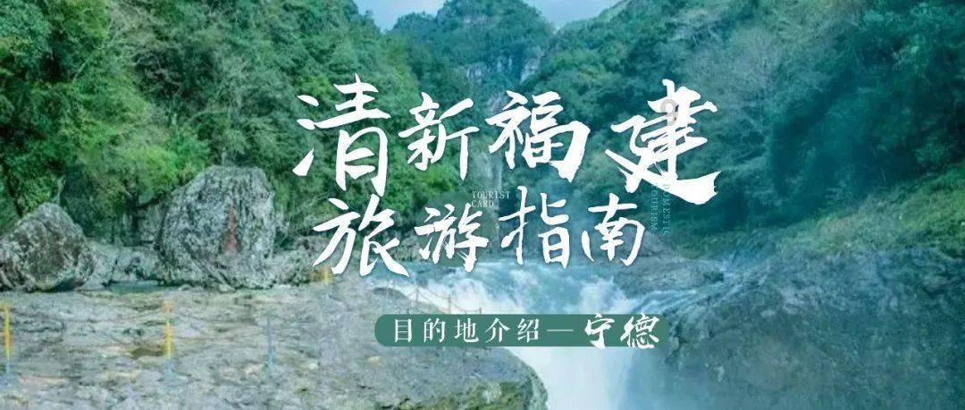 泡泡升空记8